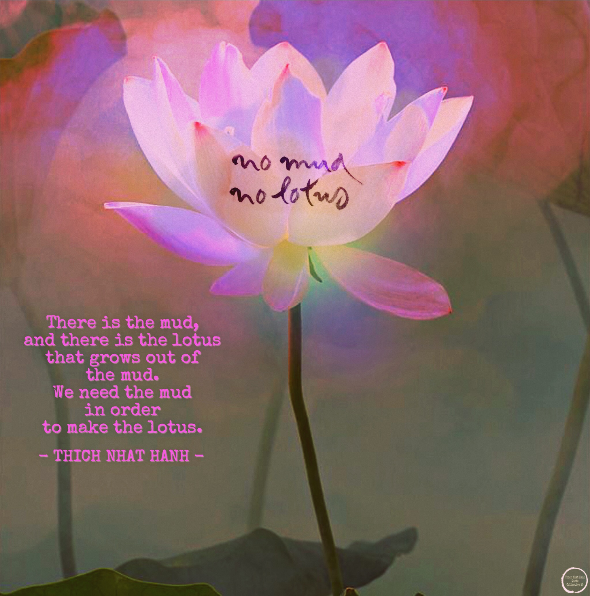  Lotus  Quote  Lotus  Flower  Love Quotes  Quotesgram See 