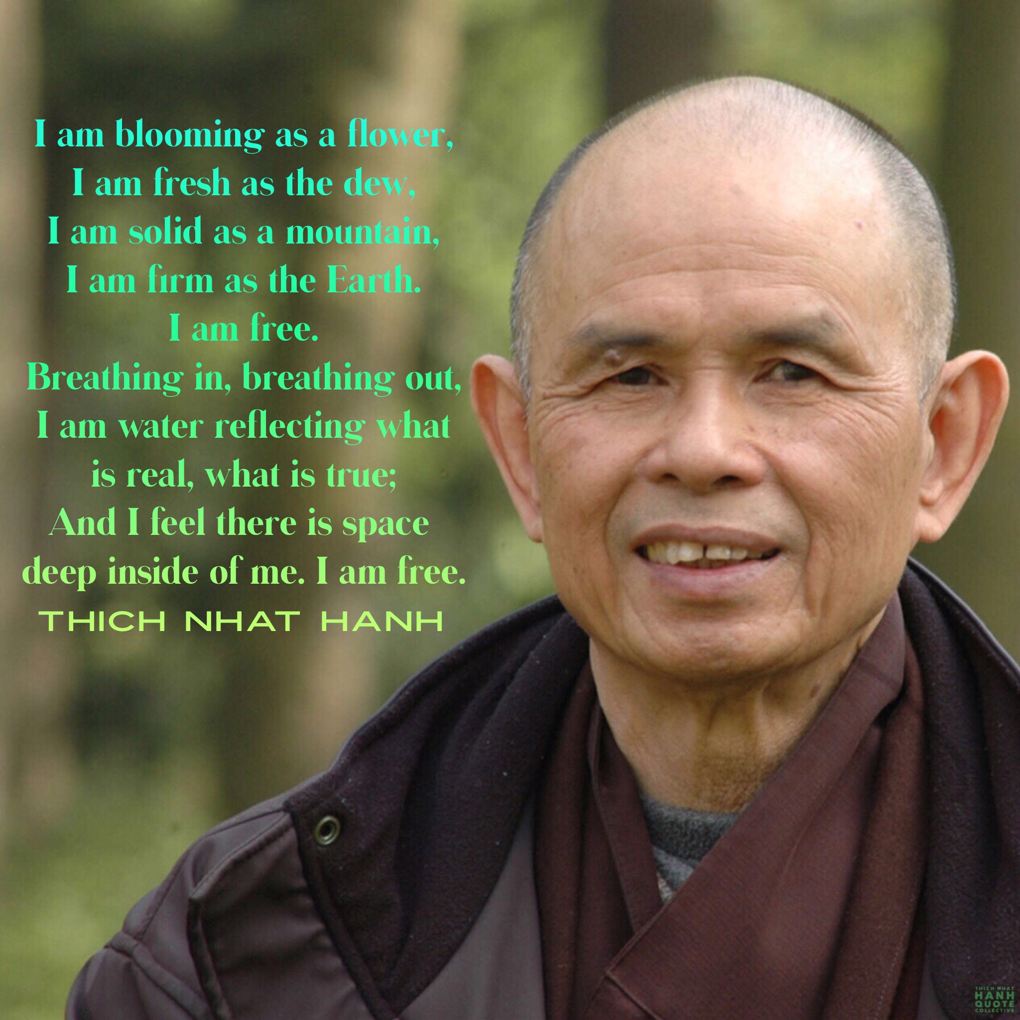 In times of Difficulty – Thich Nhat Hanh