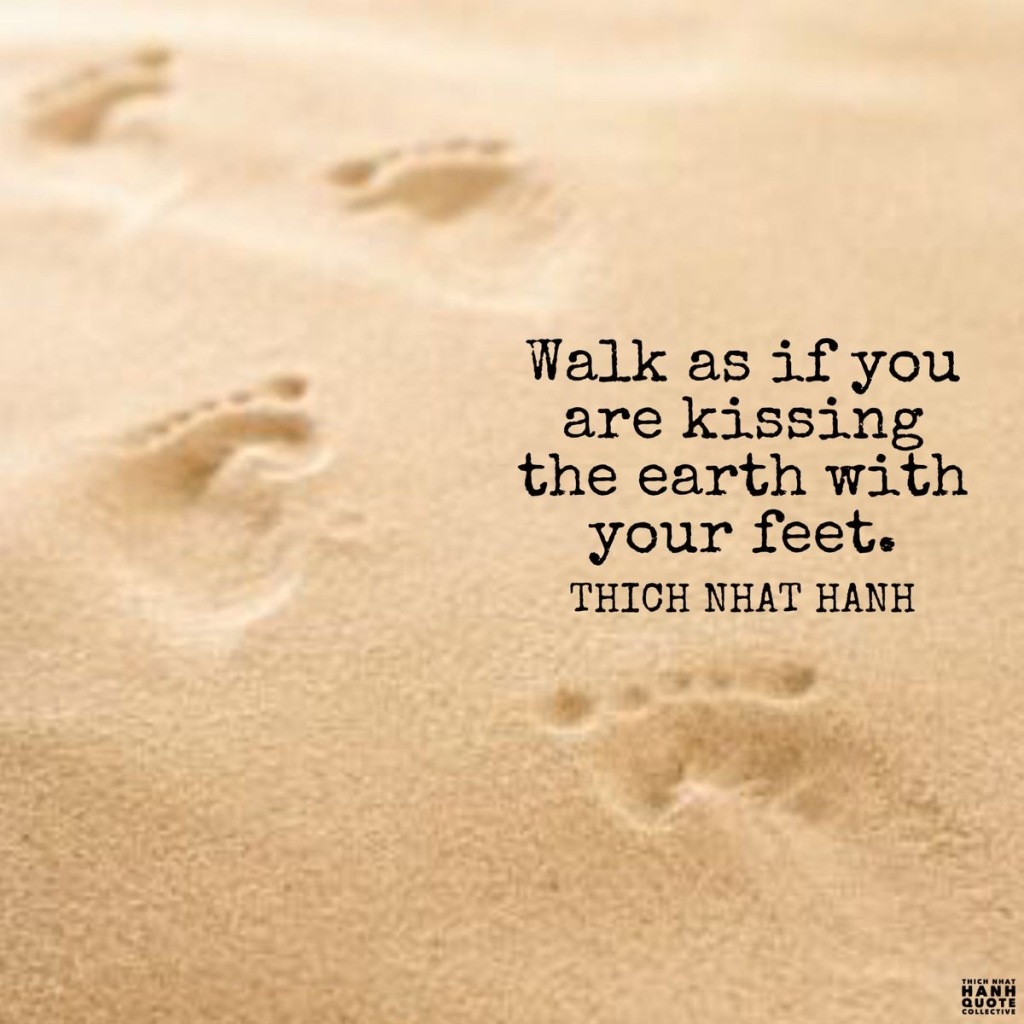 Thich Nhat Hanh Quotes Volume XXI | Thich Nhat Hanh Quote Collectiveॐ